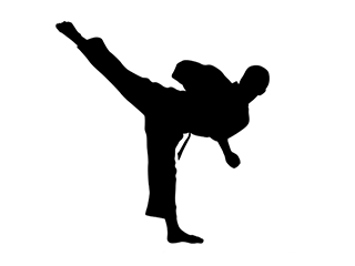 Shukokai karate